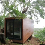 Creating a Culture of Success with Effective Coaching