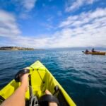 BIMBI PARK CAMPING: SLEEPING AMONG KOALAS AND KANGAROOS