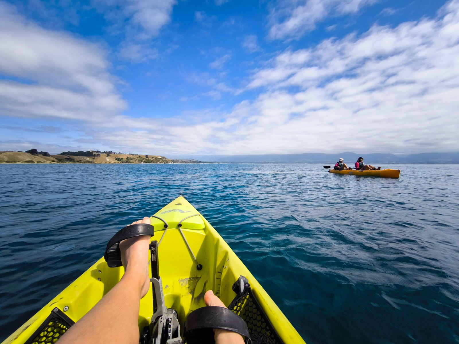 Kayaking with Seals in Kaikoura: A Unique Experience (Without a Paddle!)