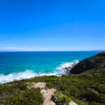 BIMBI PARK CAMPING: SLEEPING AMONG KOALAS AND KANGAROOS