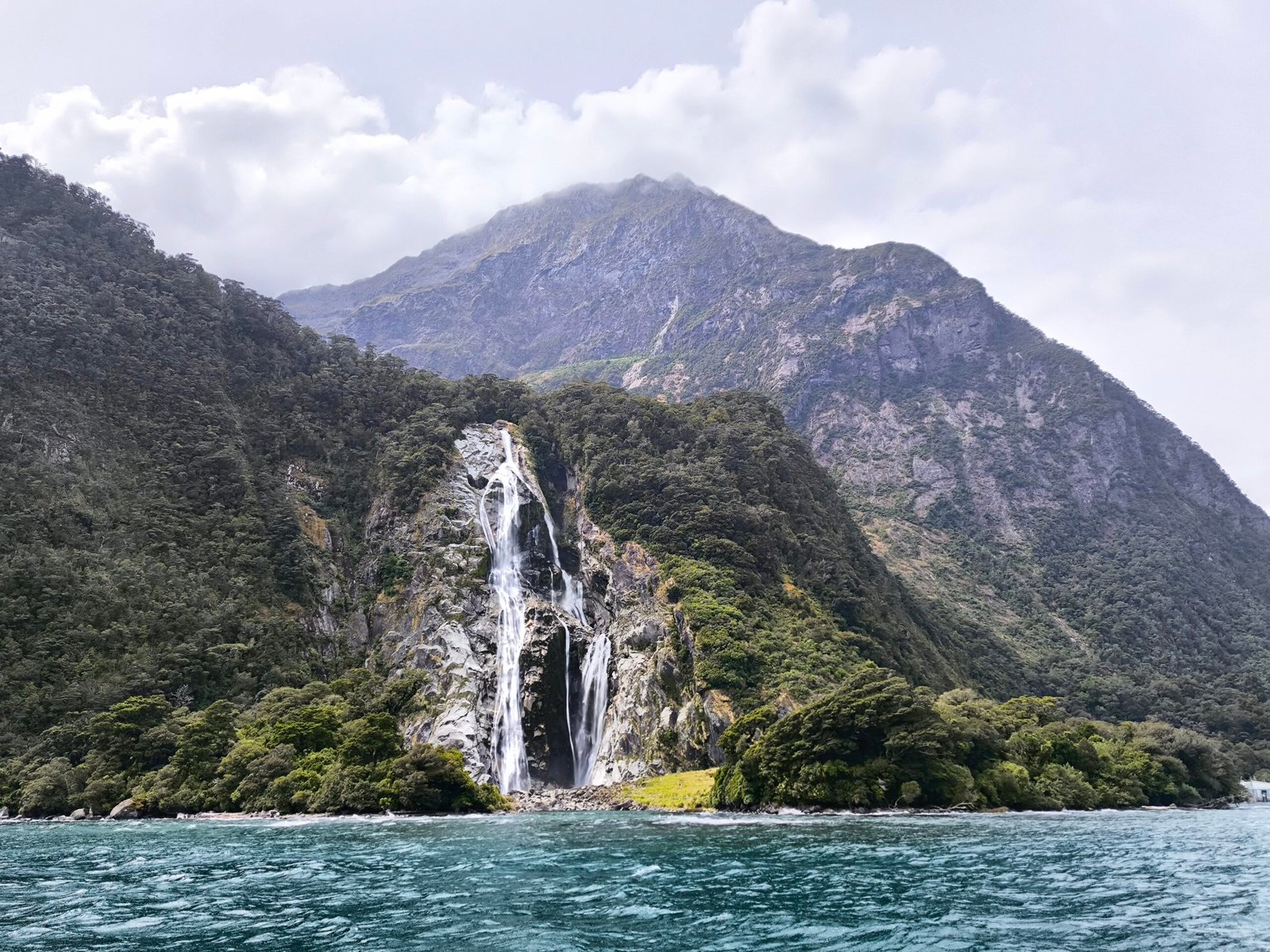 TE ANAU & MILFORD SOUND: A PARADISE TO DISCOVER
