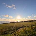 PHILLIP ISLAND: NATURE, ADVENTURE, AND RESPONSIBLE TOURISM